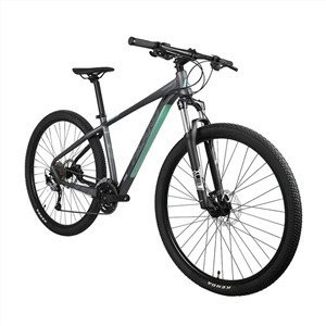 29erアルミニウム合金6061マウンテンバイク